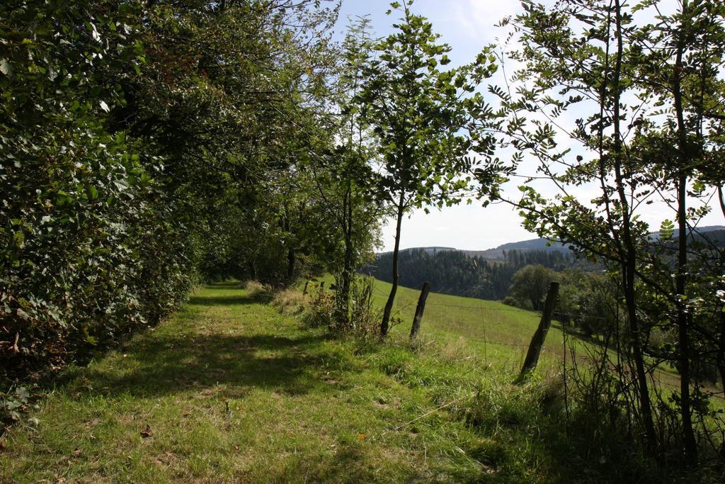 Lejlighed Gnacke Schmallenberg